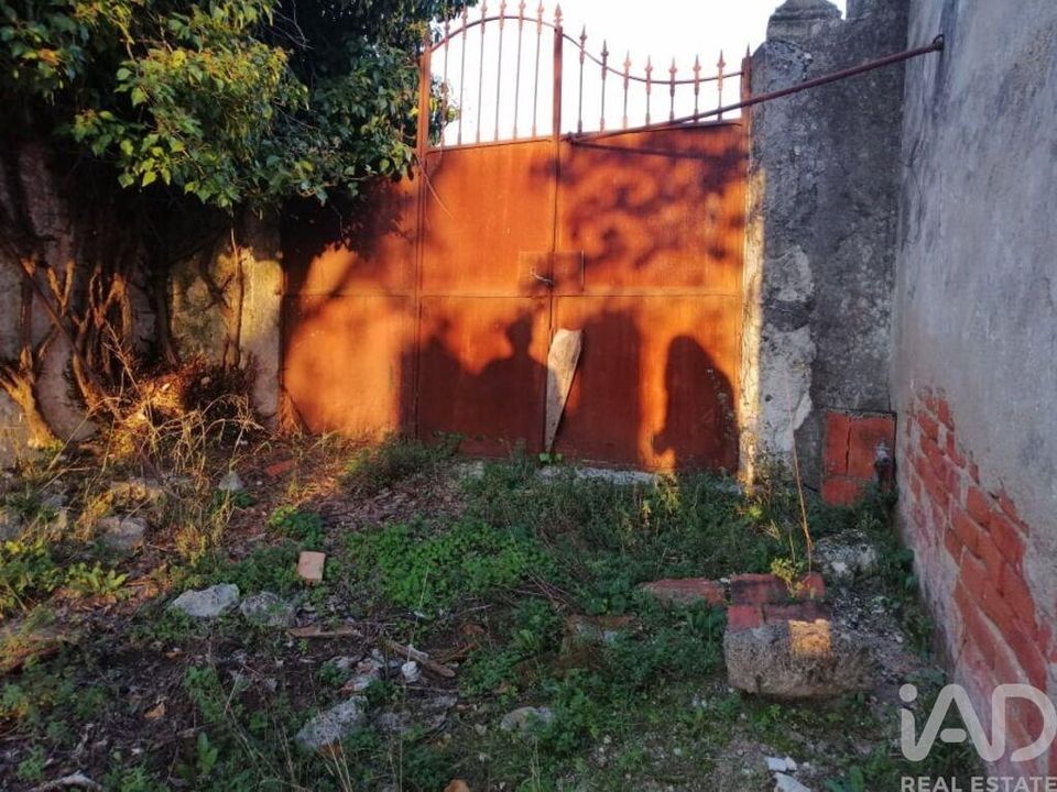 Byhus i Torres Novas, Santarem - foto 2