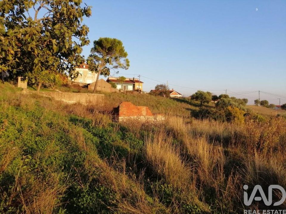 Byhus i Torres Novas, Santarem - foto 5