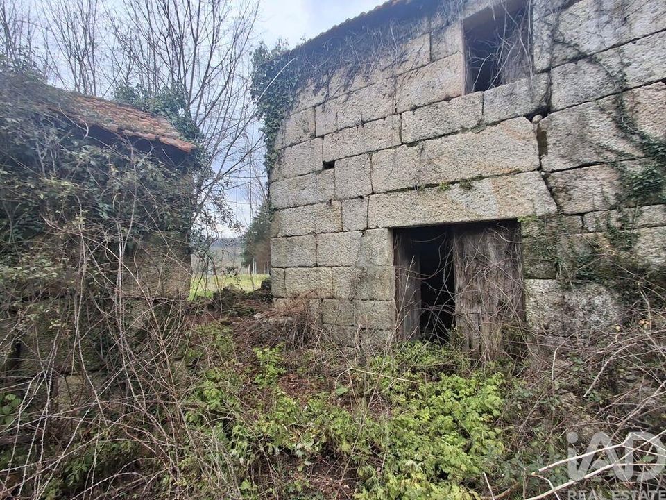 Farm i Marco de Canaveses, Porto - foto 1