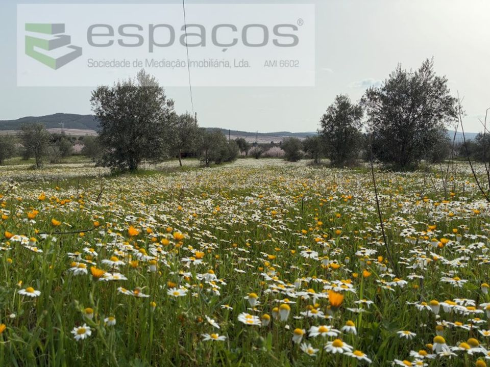 Helårsgrund i Fundao, Castelo Branco - foto 1