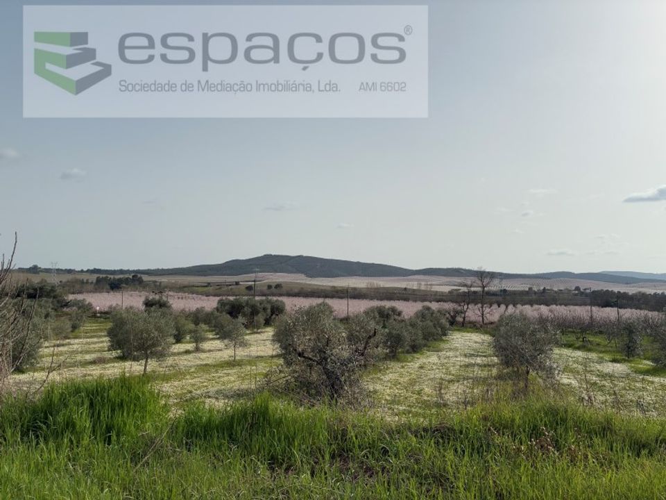 Helårsgrund i Fundao, Castelo Branco - foto 4