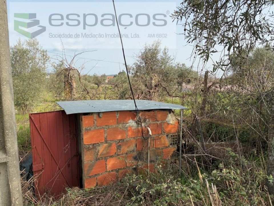 Helårsgrund i Fundao, Castelo Branco - foto 5