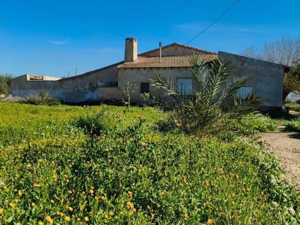 Landejendom i Algoda, Alicante - foto 1