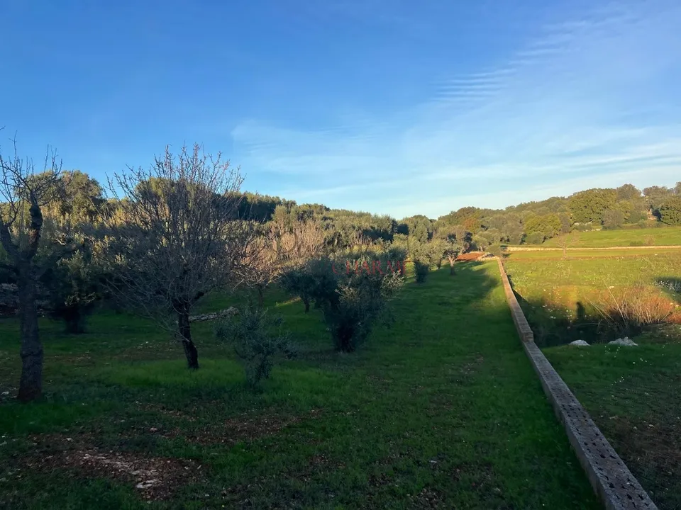 Helårsgrund i Ostuni, Brindisi - foto 1