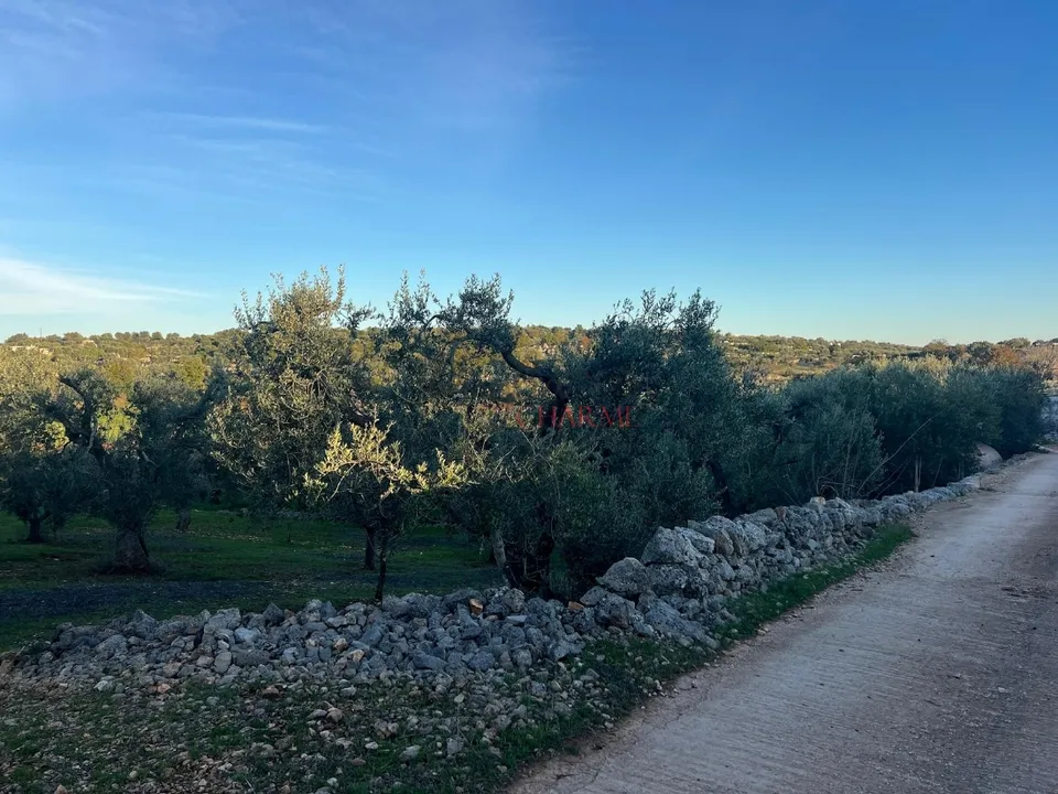 Helårsgrund i Ostuni, Brindisi - foto 2
