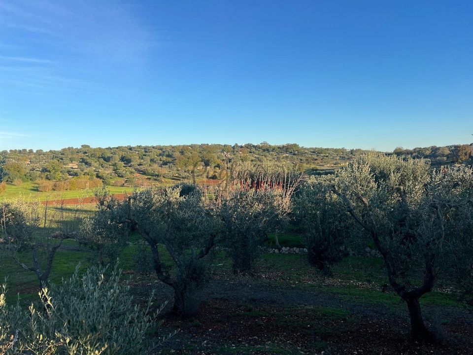 Helårsgrund i Ostuni, Brindisi - foto 3