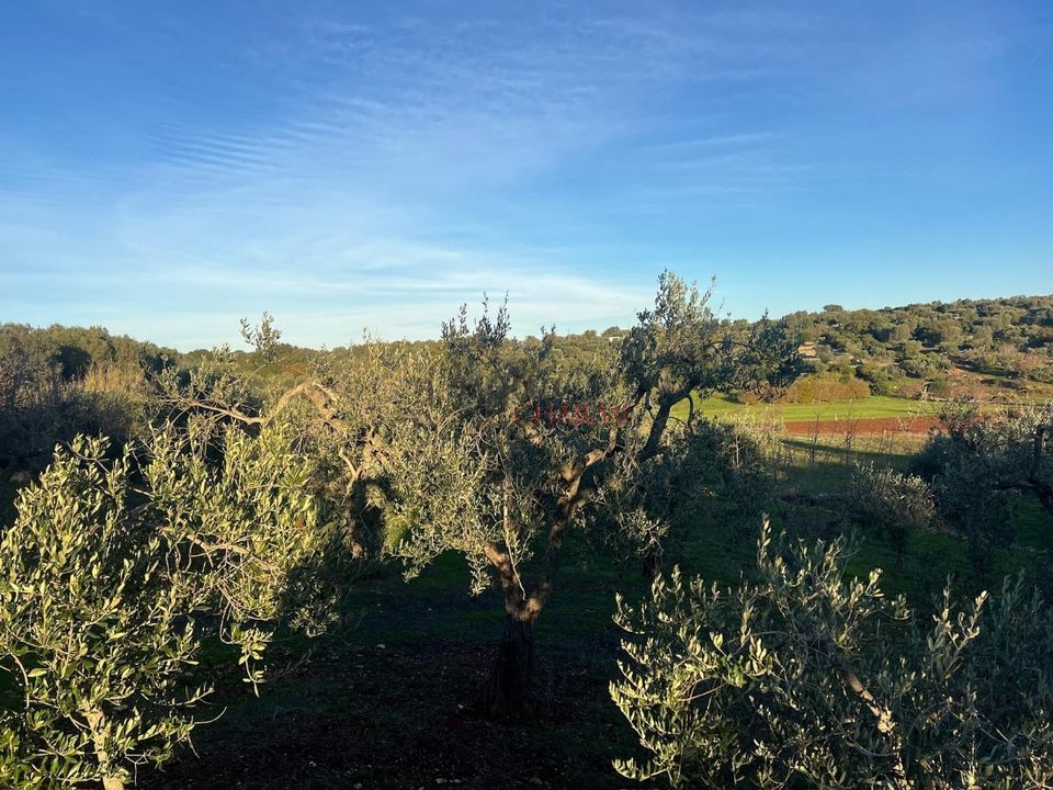 Helårsgrund i Ostuni, Brindisi - foto 4