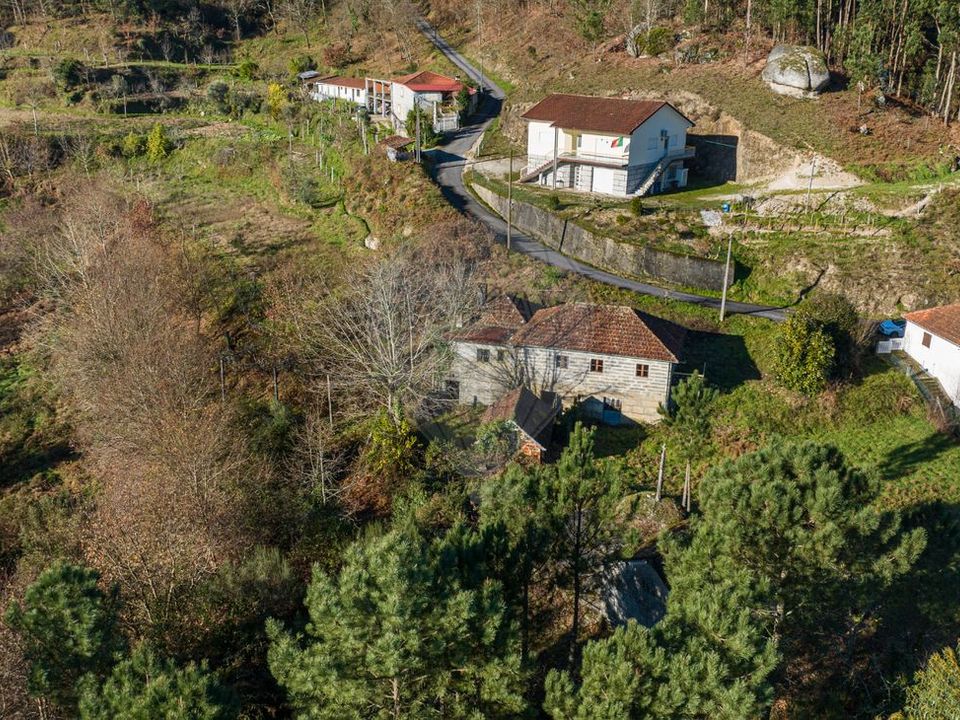 Farm i Celorico de Basto, Braga - foto 1