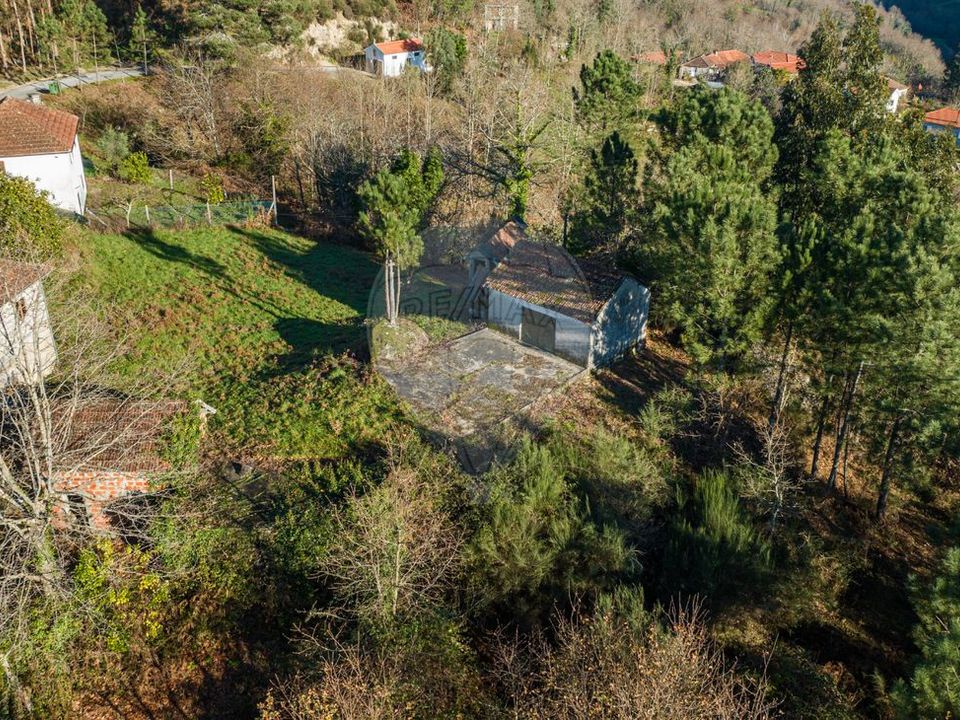Farm i Celorico de Basto, Braga - foto 3