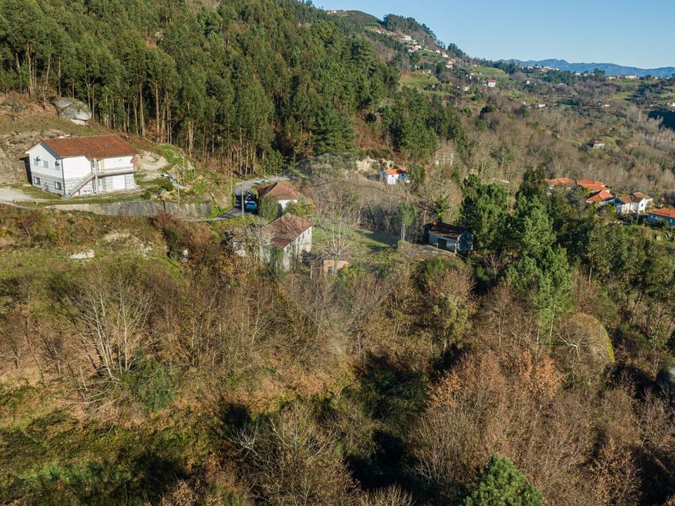 Farm i Celorico de Basto, Braga - foto 5