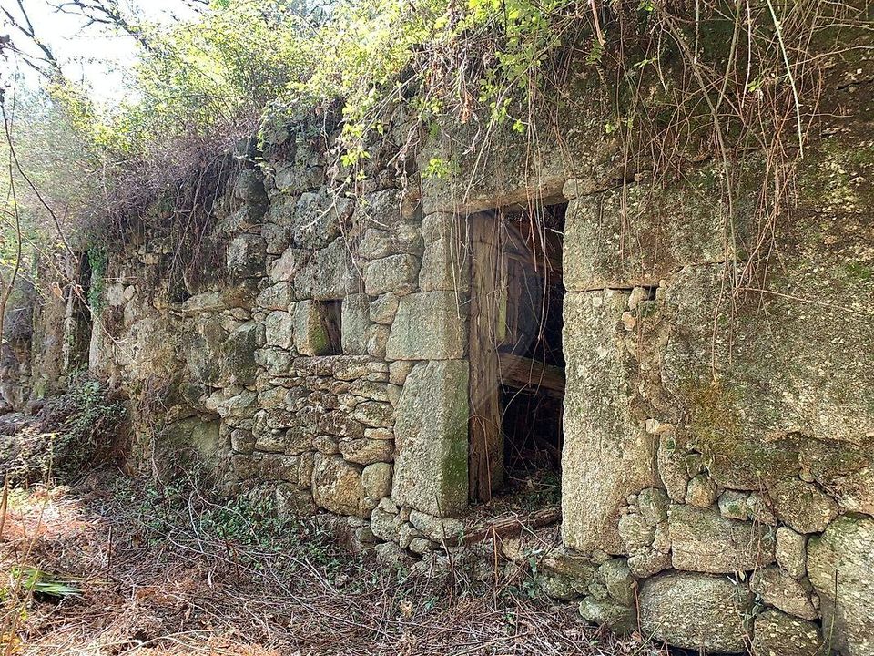 Villa i Vila Verde, Braga - foto 3