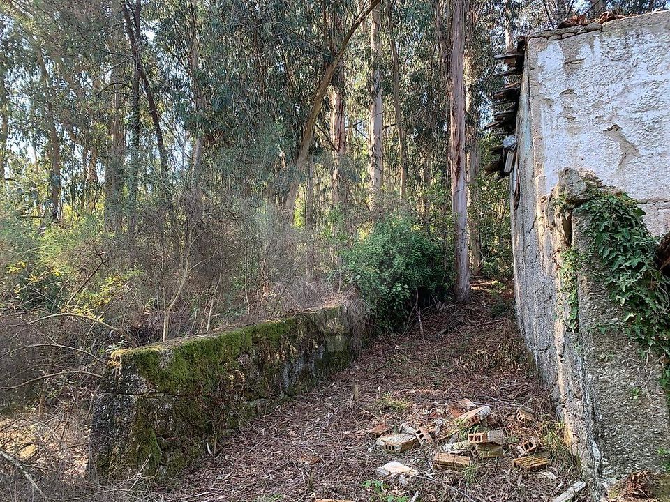 Villa i Vila Verde, Braga - foto 4