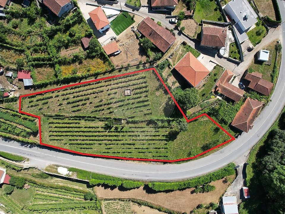 Tomt i Cabeceiras de Basto, Braga - bilde 2