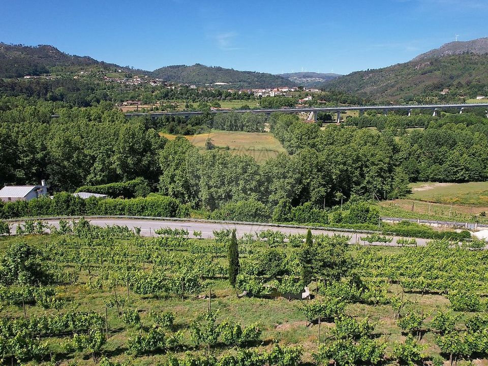 Tomt i Cabeceiras de Basto, Braga - bilde 5