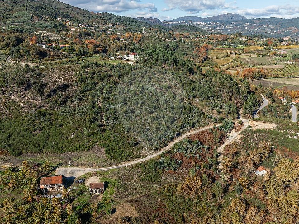 Villa i Celorico de Basto, Braga - bilde 2