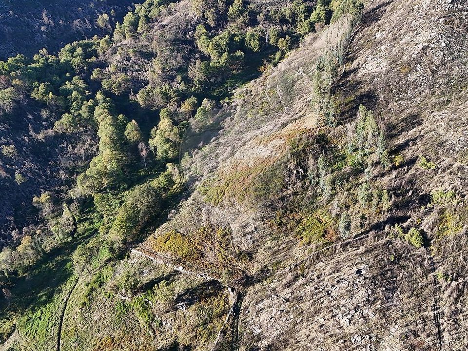 Helårsgrund i Cabeceiras de Basto, Braga - foto 2