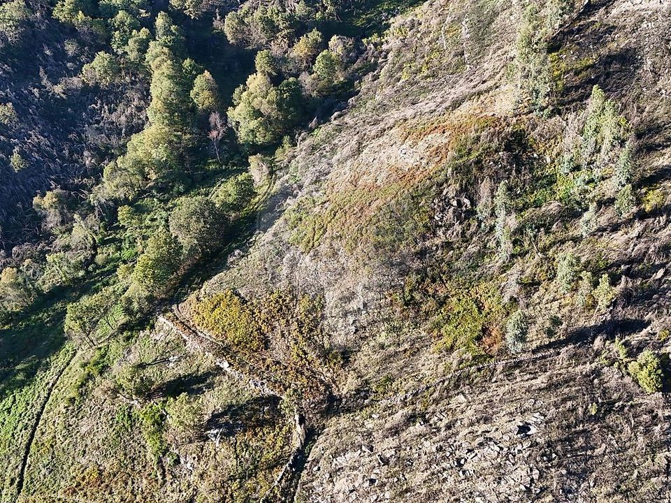 Helårsgrund i Cabeceiras de Basto, Braga - foto 3