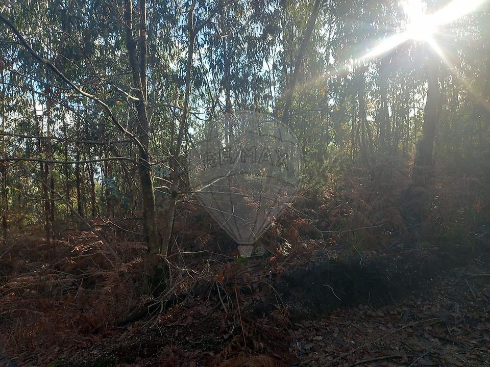 Helårsgrund i Guimaraes, Braga - foto 4
