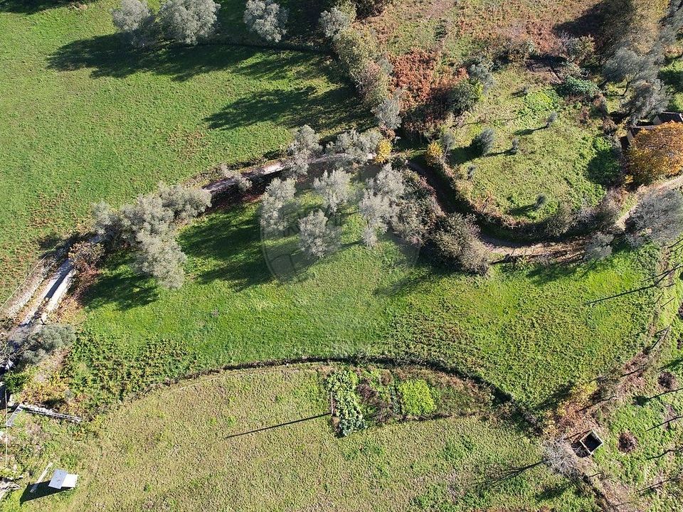 Helårsgrund i Cabeceiras de Basto, Braga - foto 4