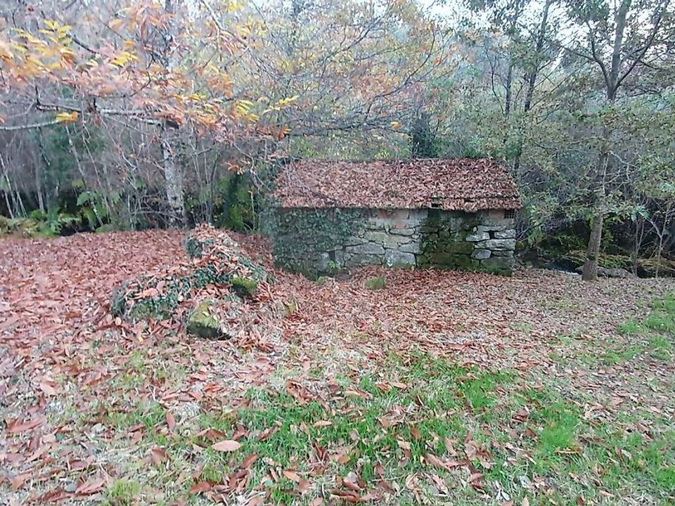 Helårsgrund i Cabeceiras de Basto, Braga - foto 1