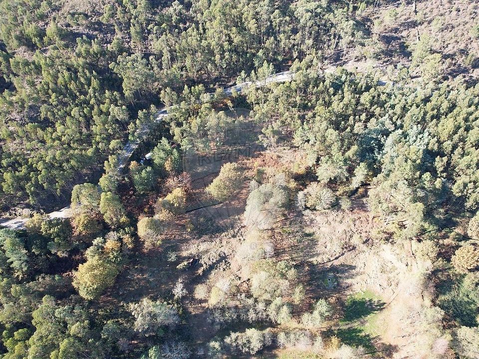 Helårsgrund i Cabeceiras de Basto, Braga - foto 4
