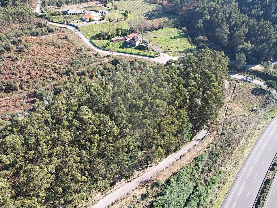 Helårsgrund i Guimaraes, Braga - foto 2