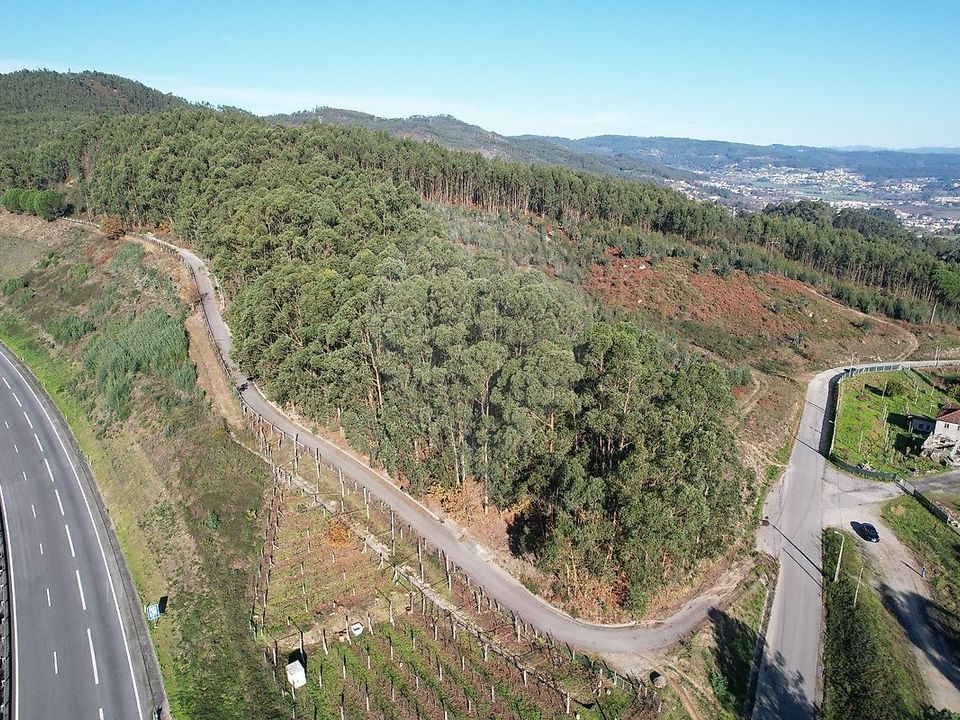 Helårsgrund i Guimaraes, Braga - foto 3