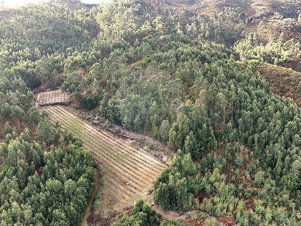 Helårsgrund i Cabeceiras de Basto, Braga - foto 2