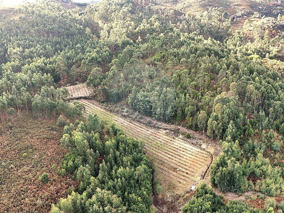 Helårsgrund i Cabeceiras de Basto, Braga - foto 5