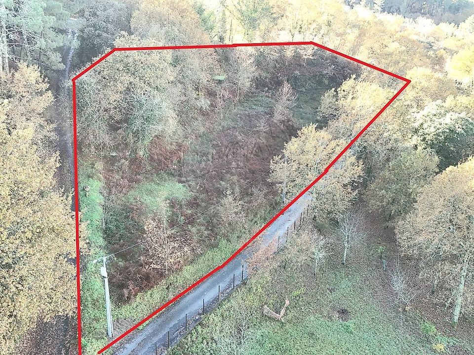 Tomt i Cabeceiras de Basto, Braga - bilde 1