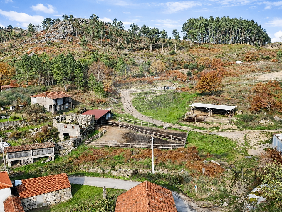 Granja a Cabeceiras de Basto, Braga - foto 4