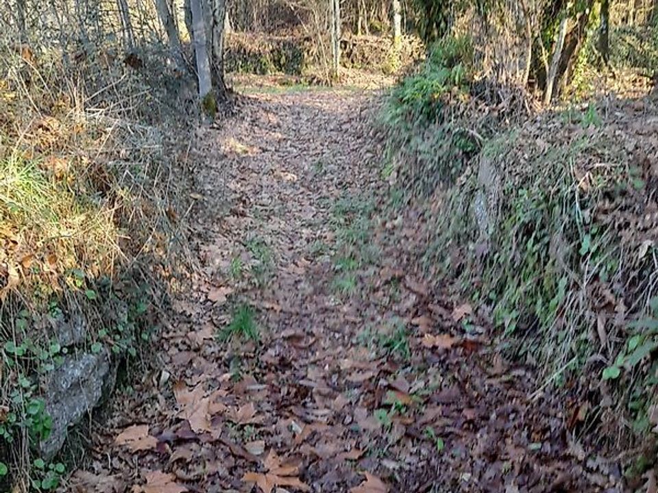 Helårsgrund i Amares, Braga - foto 4