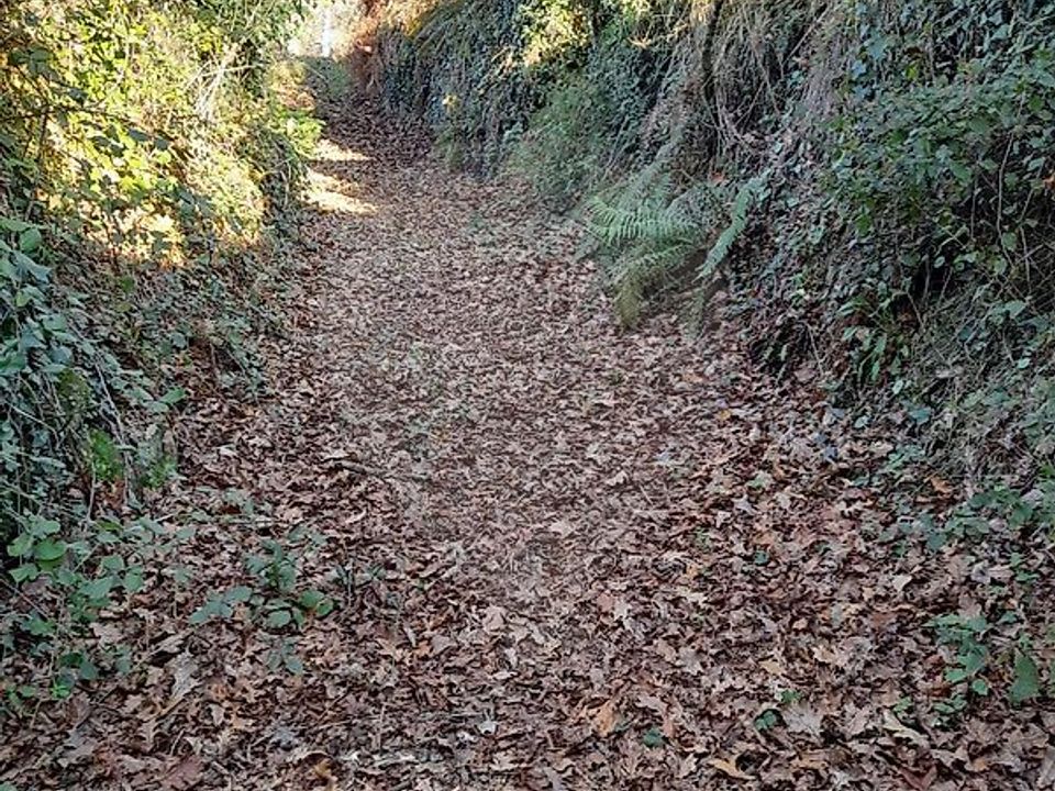 Helårsgrund i Amares, Braga - foto 5