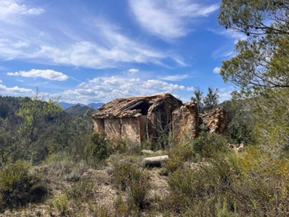 Finca i Benifallet, Tarragona - foto 2