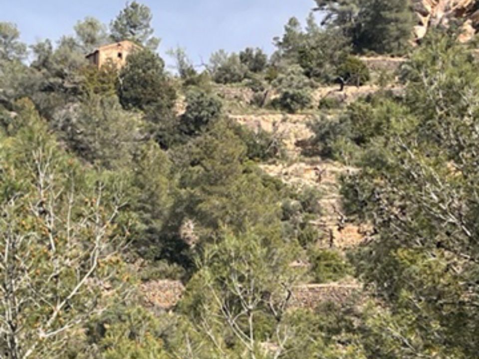 Finca i Benifallet, Tarragona - foto 4
