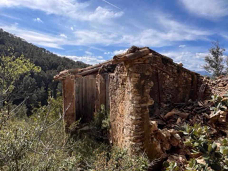 Finca i Benifallet, Tarragona - foto 5
