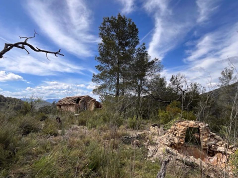 Finca i Benifallet, Tarragona - foto 3