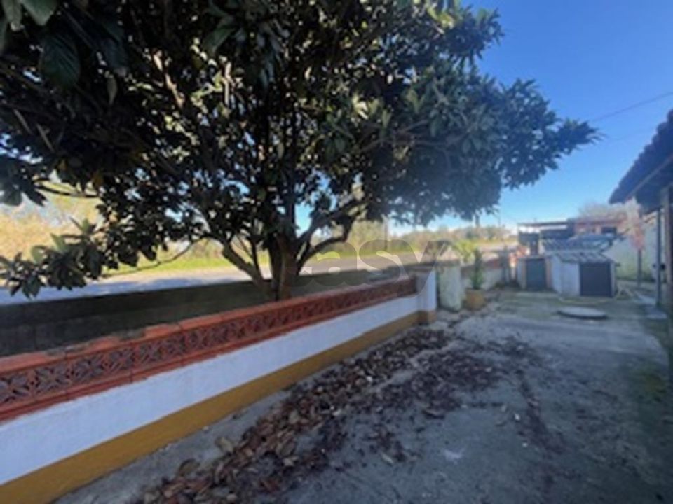 Lejlighed i Montemor-o-Novo, Evora - foto 4