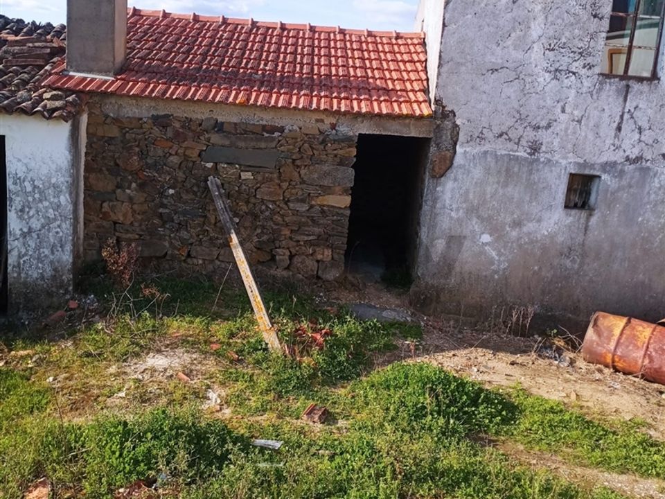 Tomt i Vila de Rei, Castelo Branco - bilde 1