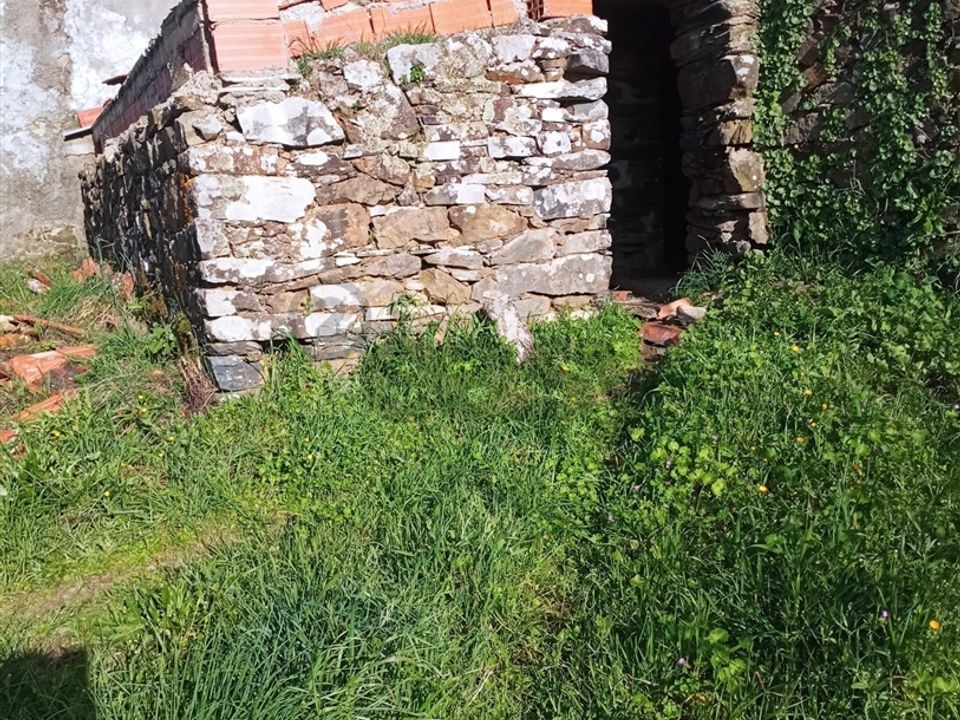 Tomt i Vila de Rei, Castelo Branco - bilde 2
