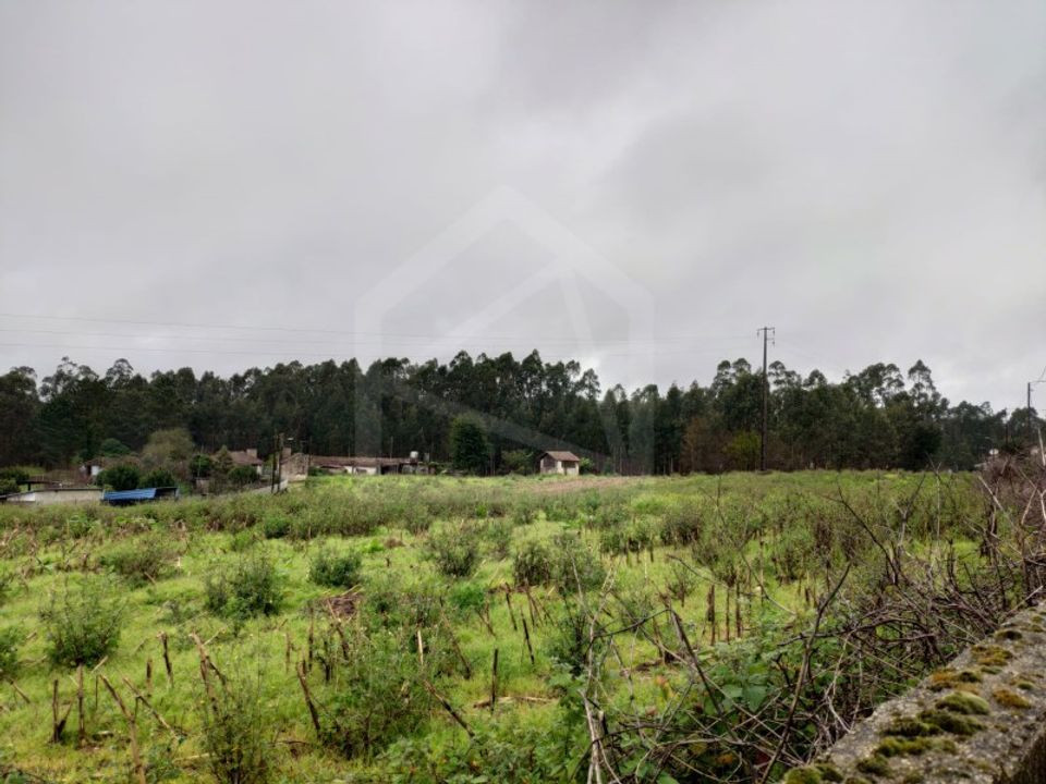 Helårsgrund i Oliveira de Azemeis, Aveiro - foto 5
