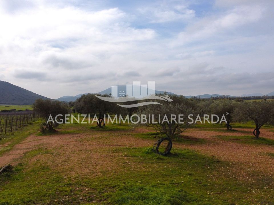 Land in Alghero, Sassari - photo 2