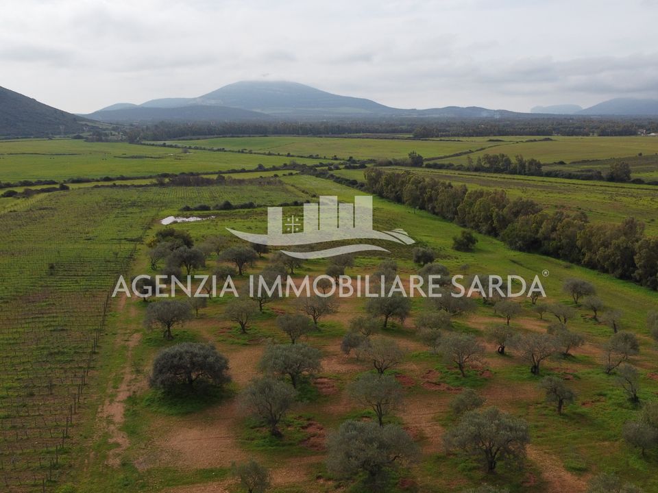 Land in Alghero, Sassari - photo 3