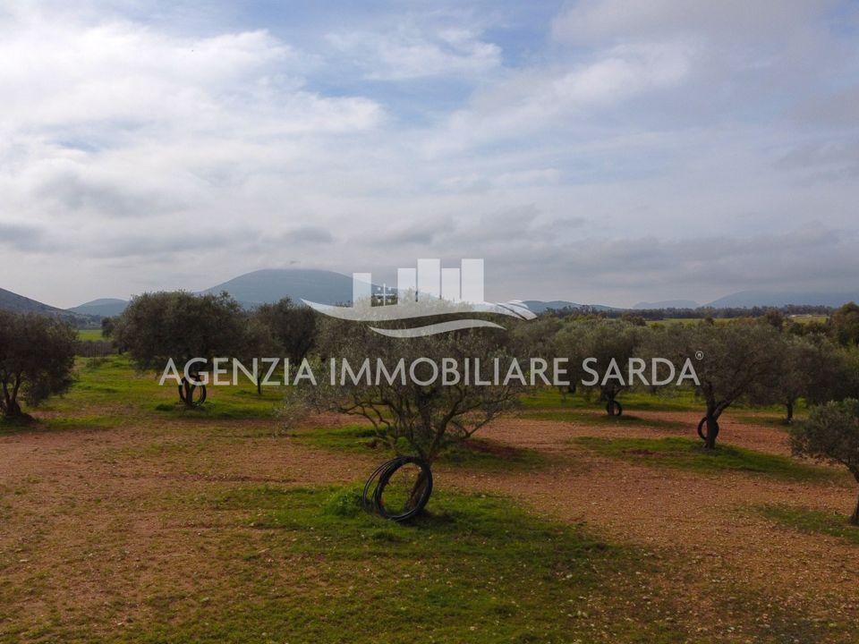 Land in Alghero, Sassari - photo 4