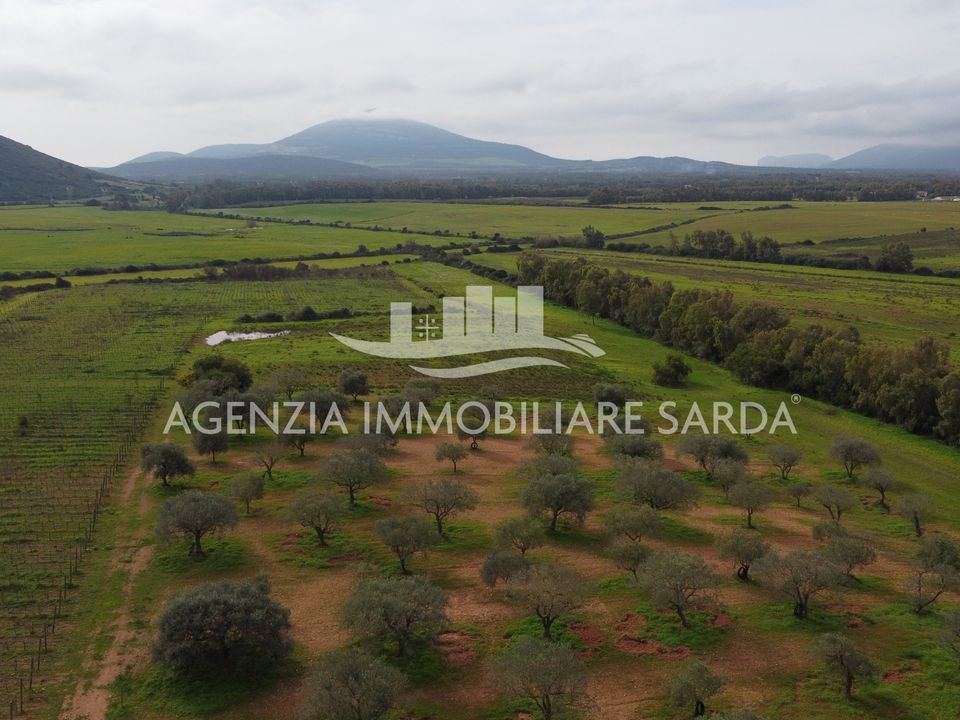 Land in Alghero, Sassari - photo 5