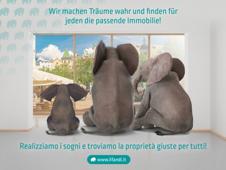 Erhvervsejendom i Cles, Trento - foto 4