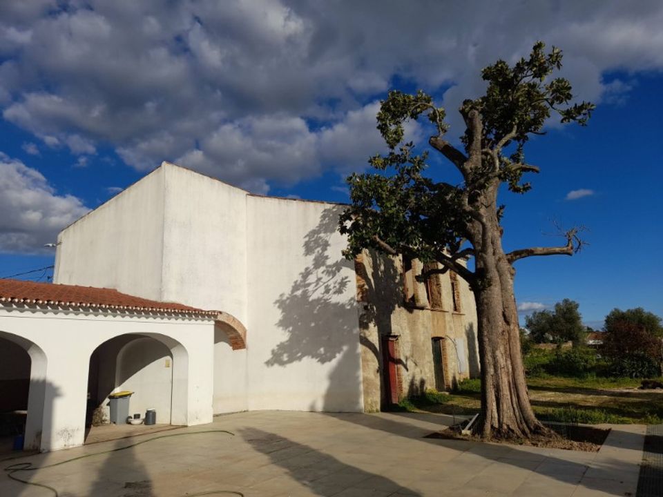 Villa a Alandroal, Evora - foto 5