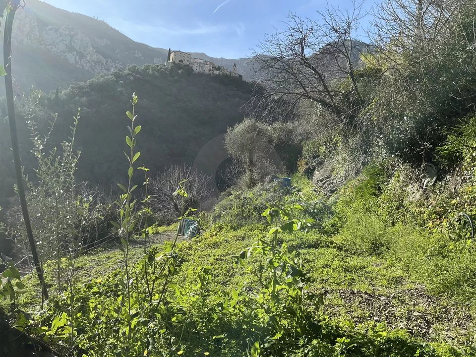 Helårsgrund i Gorbio, Alpes-Maritimes - foto 1