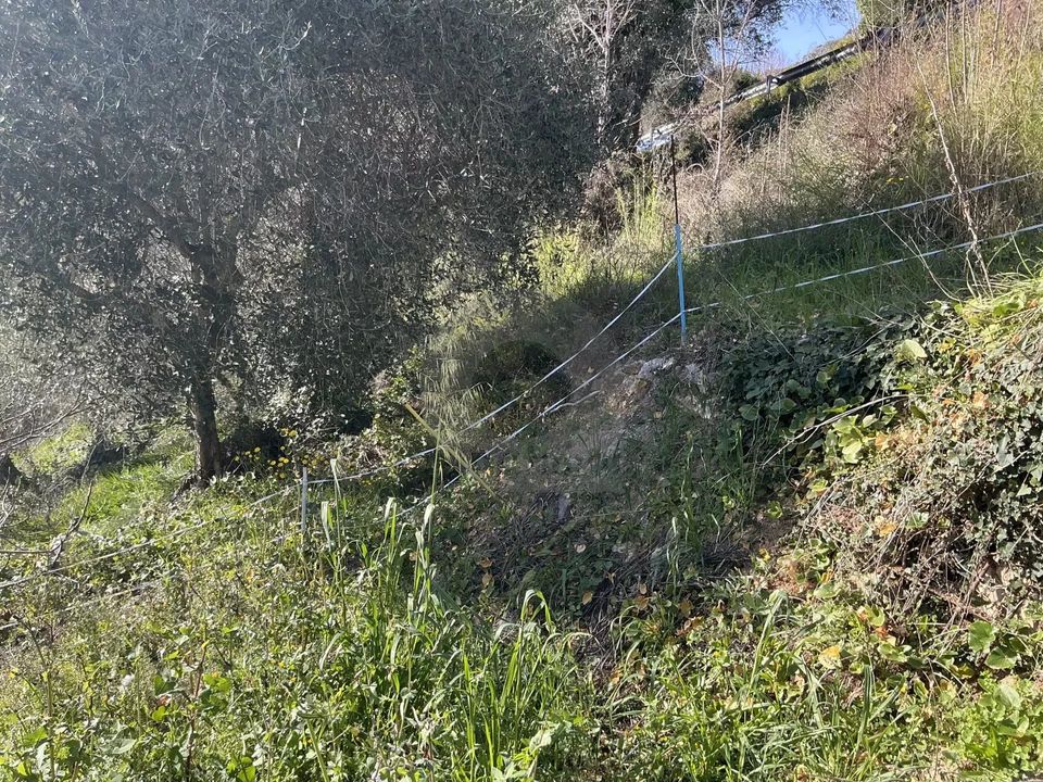 Helårsgrund i Gorbio, Alpes-Maritimes - foto 2