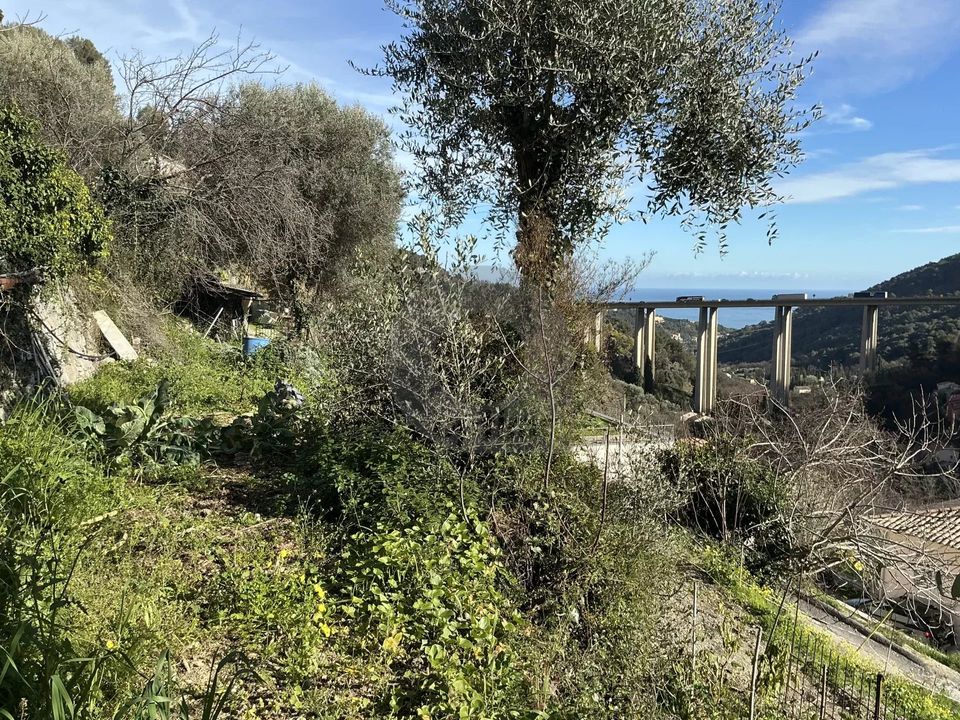 Helårsgrund i Gorbio, Alpes-Maritimes - foto 3